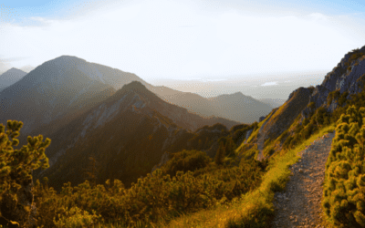 EHS Compliance: A Timely Career Path for Women